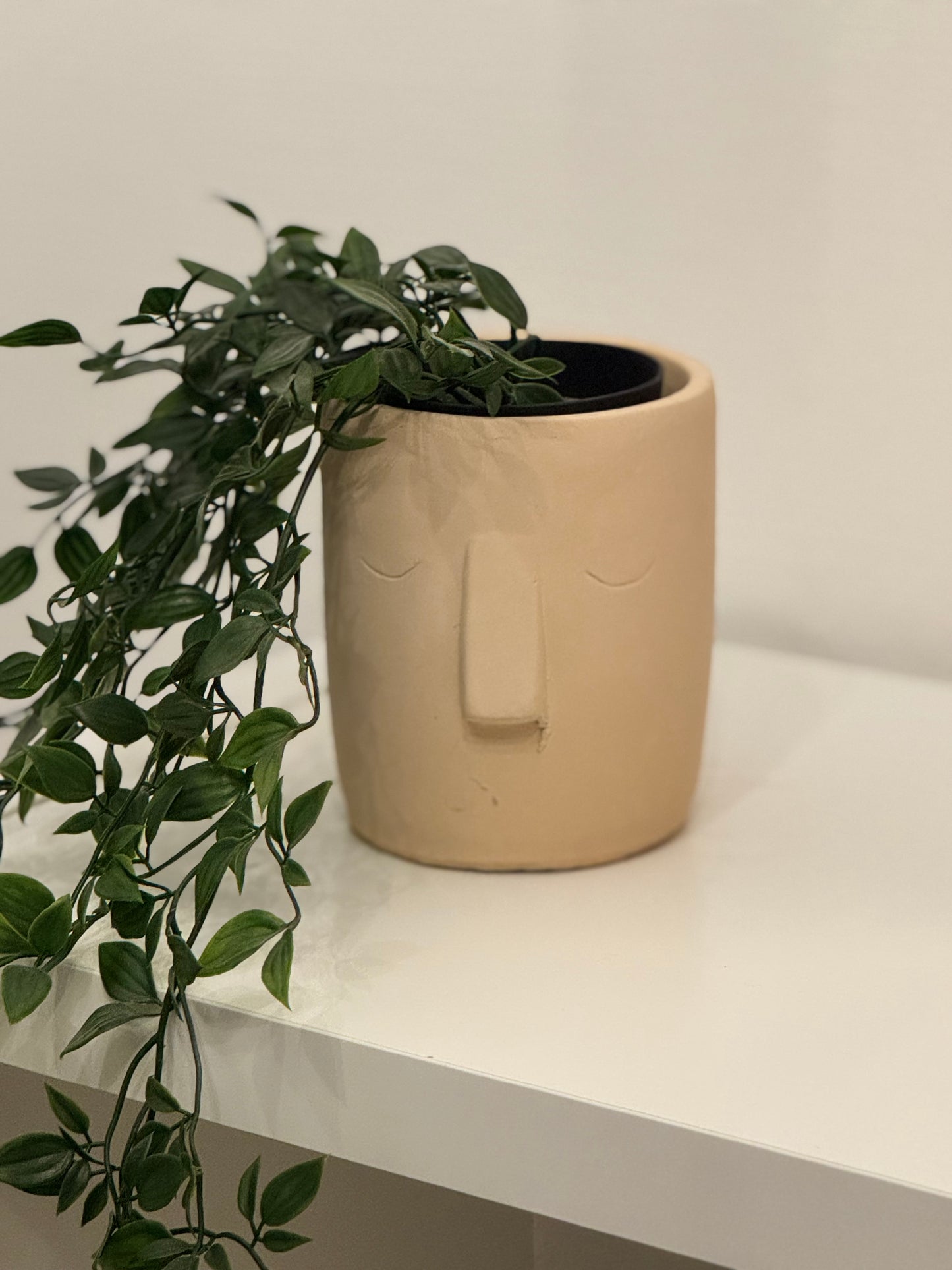 Ceramic vase/pot hider